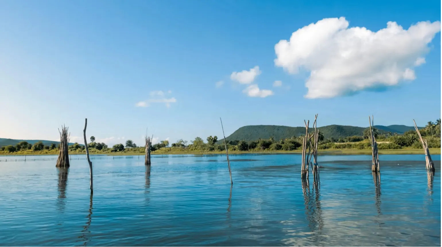 Chilika Lake